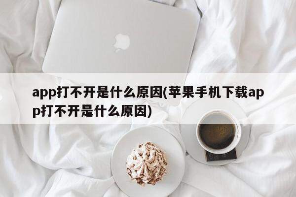 app打不开是什么原因(苹果手机下载app打不开是什么原因)