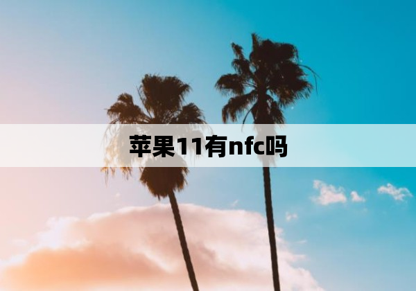 苹果11有nfc吗