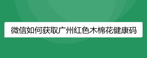 微信如何获取广州红色木棉花健康码