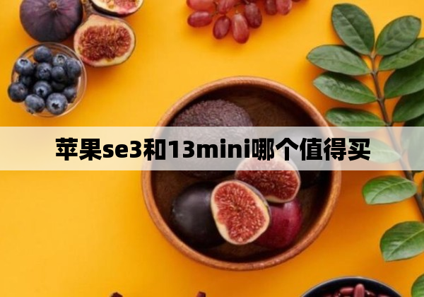 苹果se3和13mini哪个值得买