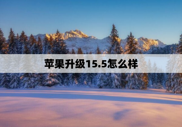 苹果升级15.5怎么样