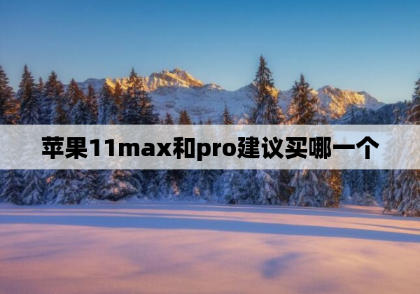 苹果11max和pro建议买哪一个