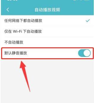 Taptap如何开启默认静音播放？Taptap开启默认静音播放的方法截图