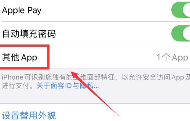 苹果微信支付怎么设置面部识别 苹果微信支付设置面部识别的简单步骤截图