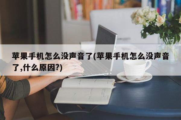 苹果手机怎么没声音了(苹果手机怎么没声音了,什么原因?)