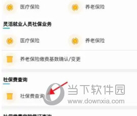 爱南宁怎么查询社保缴费记录