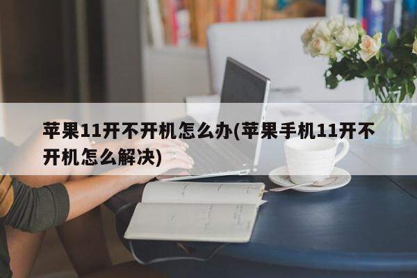 苹果11开不开机怎么办(苹果手机11开不开机怎么解决)