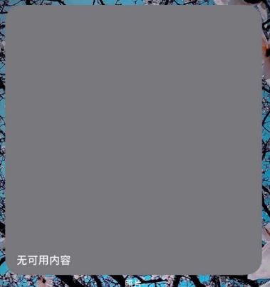 iOS14照片小组件出现无可用内容该怎么解决？提示无可用内容解决办法截图