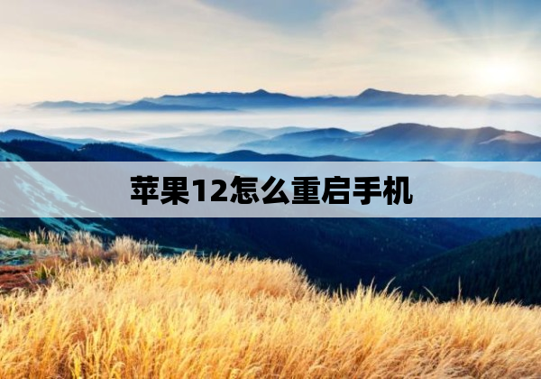 苹果12怎么重启手机