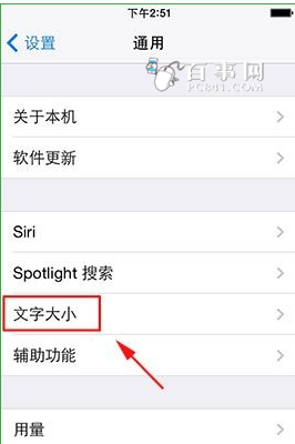 苹果手机iPhone6如何设置字体