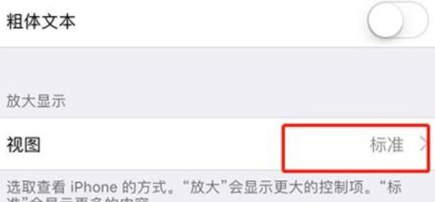 iPhone11pro  max调整桌面图标大小的方法截图