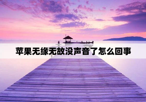 苹果无缘无故没声音了怎么回事