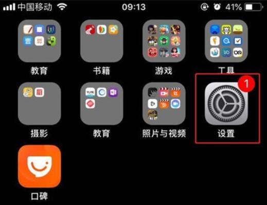 iPhone11pro  max查看内存情况的操作流程截图