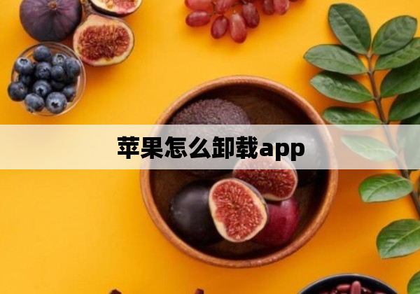 苹果怎么卸载app