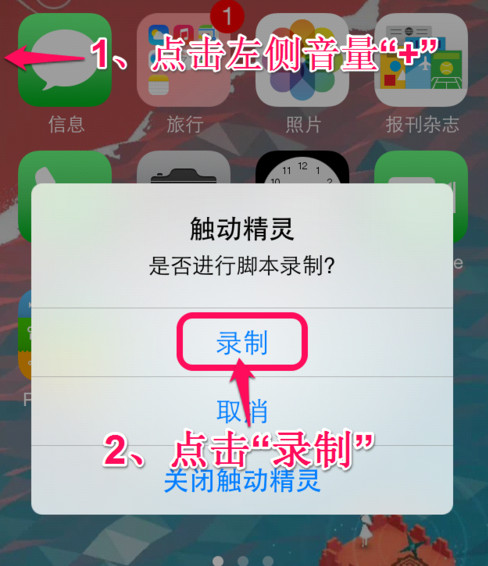 点击“录制”即可开始录制