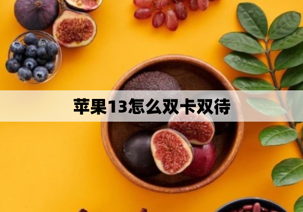 苹果13怎么双卡双待