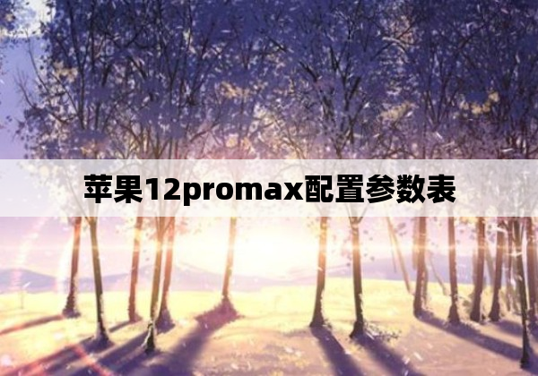 苹果12promax配置参数表