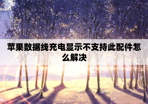 苹果数据线充电显示不支持此配件怎么解决