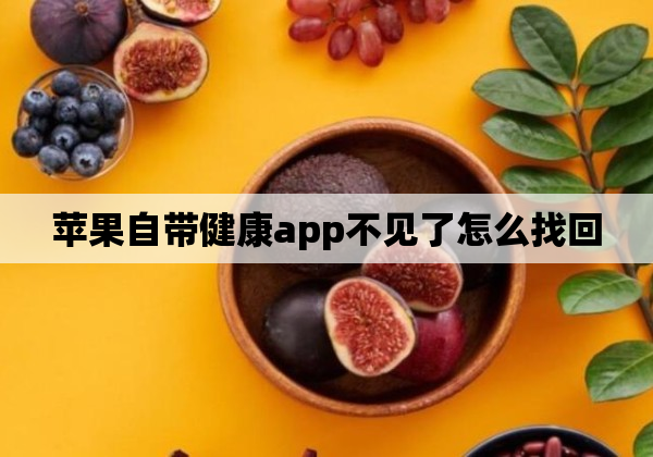 苹果自带健康app不见了怎么找回