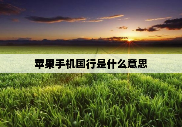 苹果手机国行是什么意思