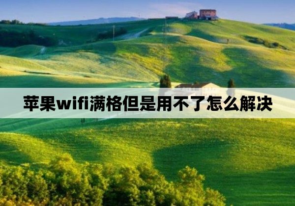 苹果wifi满格但是用不了怎么解决