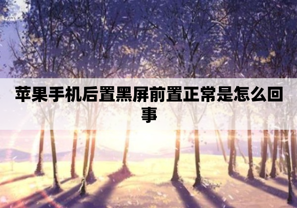 苹果手机后置黑屏前置正常是怎么回事