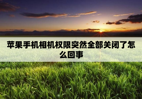 苹果手机相机权限突然全部关闭了怎么回事