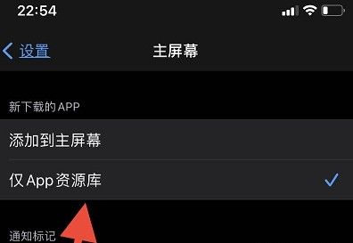 ios14下载到桌面不显示？ios14下载的app在桌面显示方法截图