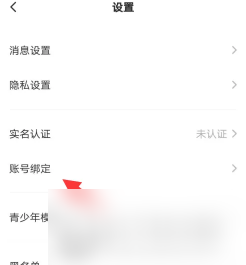 皮皮app怎么绑线 皮皮陪玩APP绑定微信教程