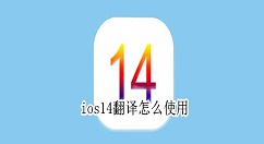 ios14翻译怎么使用 ios14翻译使用教程