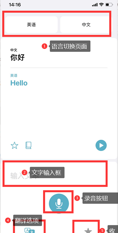 ios14翻译怎么使用 ios14翻译使用教程截图