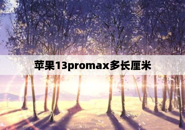 苹果13promax多长厘米