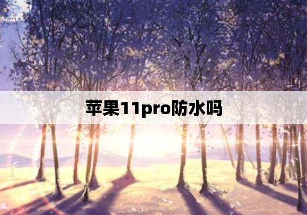 苹果11pro防水吗