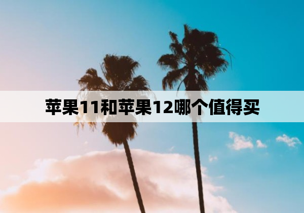 苹果11和苹果12哪个值得买