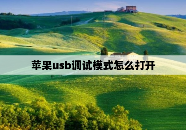 苹果usb调试模式怎么打开