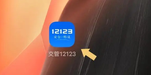 交管12123查询考试成绩分数操作方法