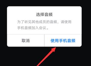 腾讯会议进入会议没有声音的解决方法截图