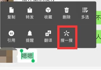 微信对话框搜一搜功能在哪里？按住消息快速搜聊天内容[多图]图片2