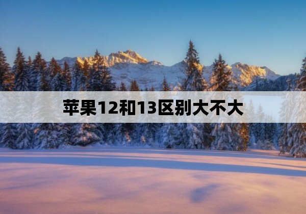 苹果12和13区别大不大