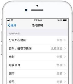 iOS使用访问限制的详细讲解截图