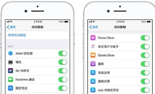 iOS使用访问限制的详细讲解截图