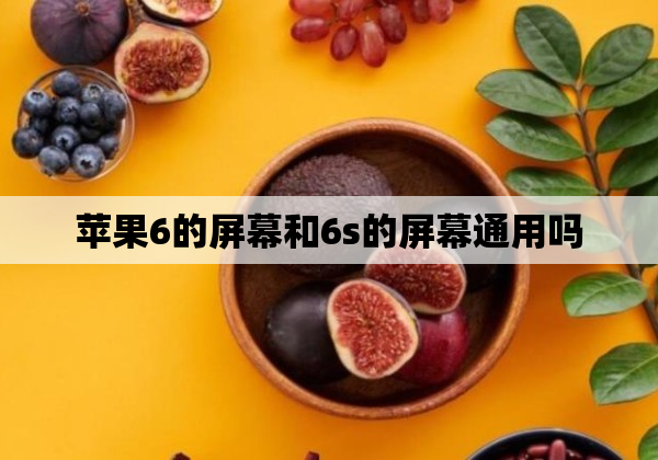 苹果6的屏幕和6s的屏幕通用吗