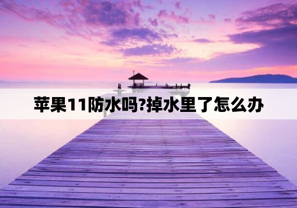 苹果11防水吗?掉水里了怎么办