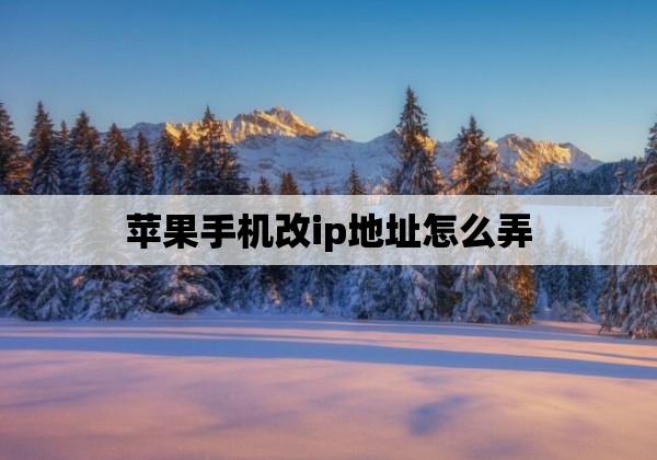 苹果手机改ip地址怎么弄