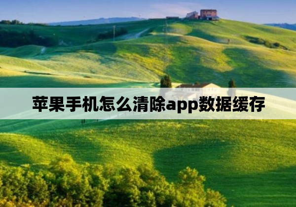 苹果手机怎么清除app数据缓存