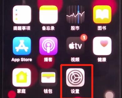 iphone11中设置Siri语言的具体方法截图