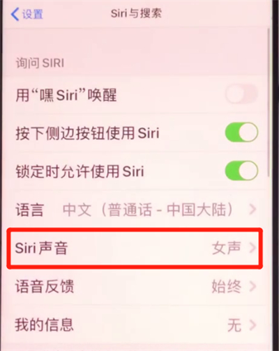 iphone11中设置siri性别的详细方法截图