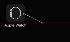 Apple  Watch  中显示24小时制的详细步骤截图