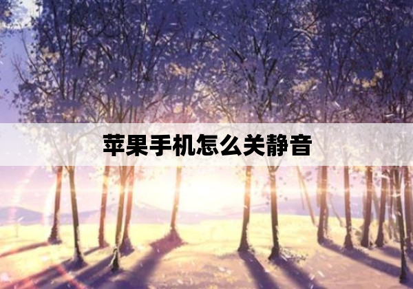 苹果手机怎么关静音