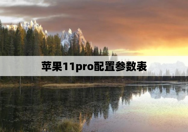 苹果11pro配置参数表